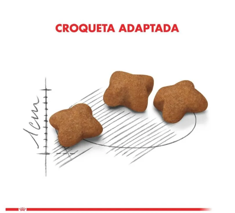 Royal Canin Kitten Sterilised 400gr