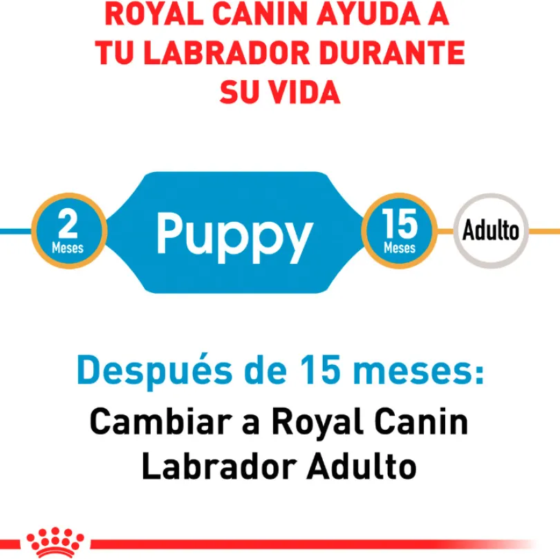 Royal Canin Labrador Retriever Junior 12kg