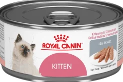 Royal Canin Latas Gatito Kitten Pate Pack 12 Unidades