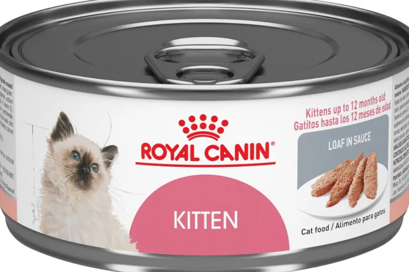 Royal Canin Latas Gatito Kitten Pate Pack 12 Unidades