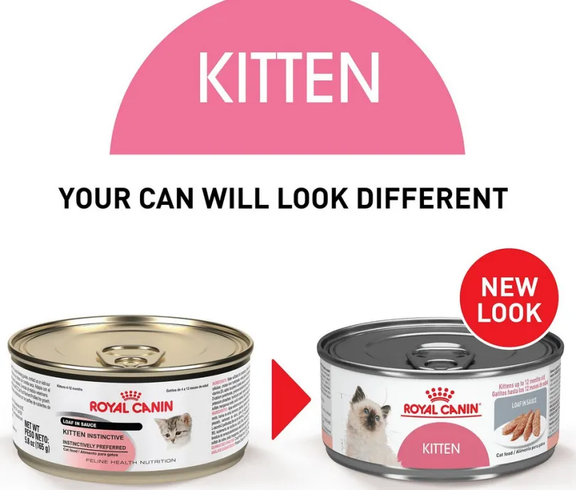 Royal Canin Latas Gatito Kitten Pate Pack 12 Unidades