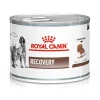 Royal Canin Latas Vet Diet Recovery Feline - Canine 145gr