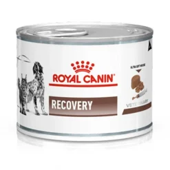 Royal Canin Latas Vet Diet Recovery Feline - Canine 145gr