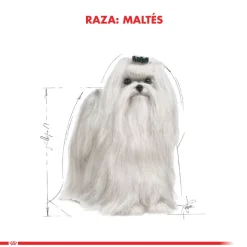 Royal Canin Maltes Adulto 1kg