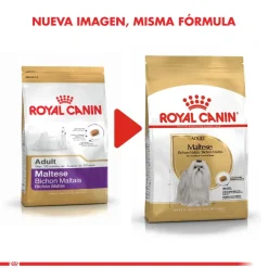 Royal Canin Maltes Adulto 1kg