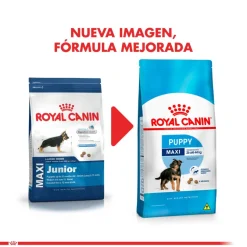 Royal Canin Maxi Junior 15kg
