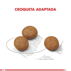 Royal Canin Maxi Junior 15kg