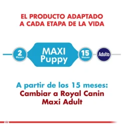 Royal Canin Maxi Junior 15kg