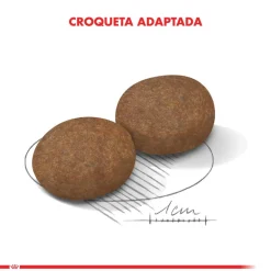 Royal Canin Medium 7+ 15kg