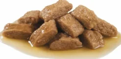 Royal Canin Medium Adulto Pouch 140gr x 5 unidades