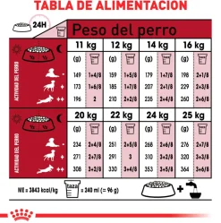 Royal Canin Medium Adulto 15kg