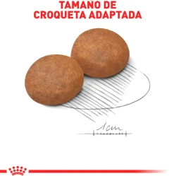 Royal Canin Medium Adulto 2.5kg