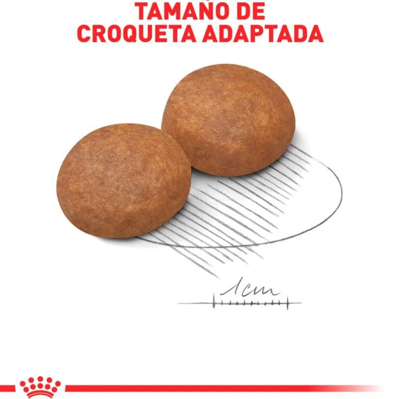 Royal Canin Medium Adulto 2.5kg