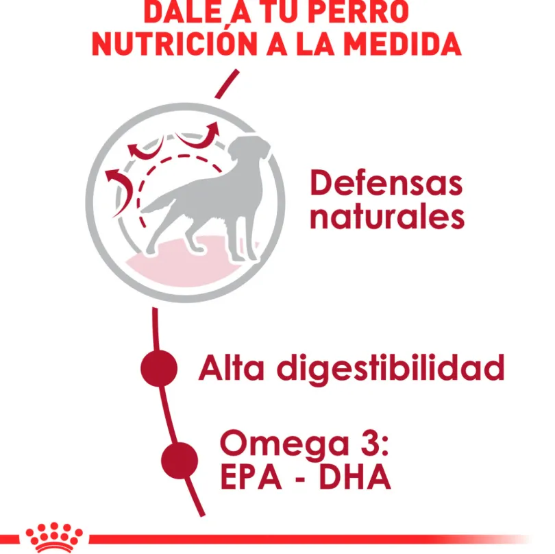 Royal Canin Medium Adulto 2.5kg