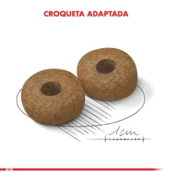 Royal Canin Medium Ageing 10+ 15kg
