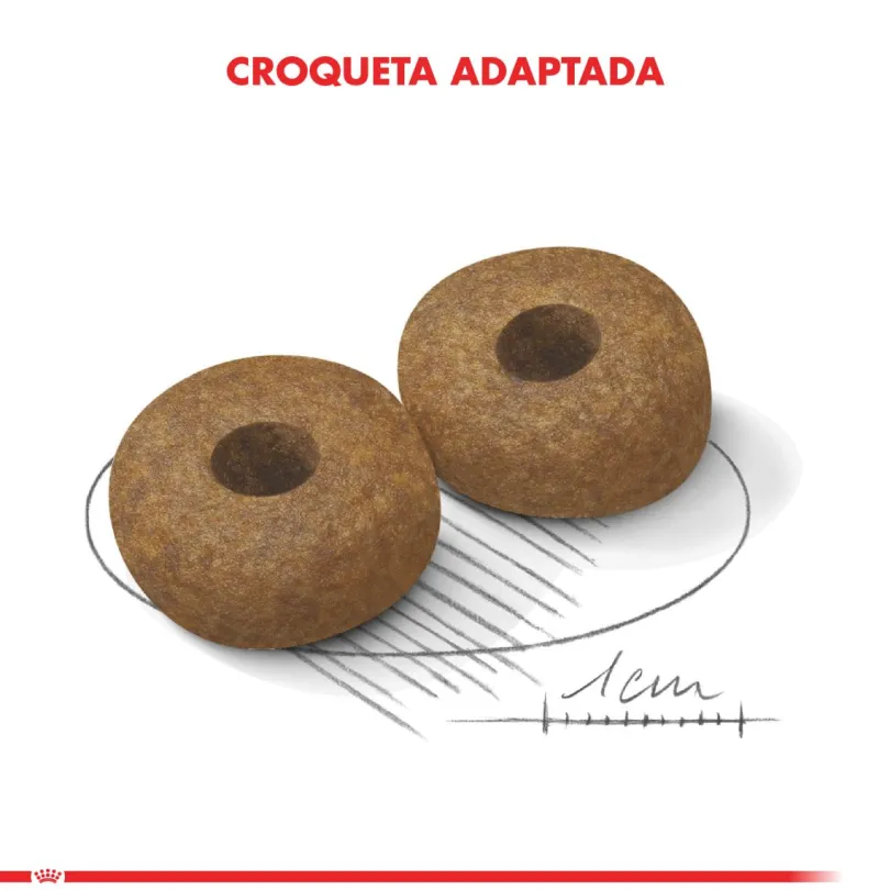 Royal Canin Medium Ageing 10+ 15kg