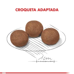 Royal Canin Medium Junior 2.5kg