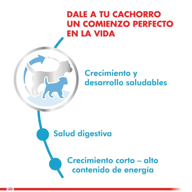 Royal Canin Medium Junior 15kg