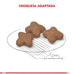 Royal Canin Mini Adulto 8+ 2.5kg