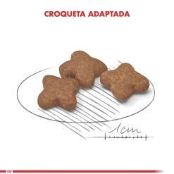 Royal Canin Mini Adulto 8+ 1kg