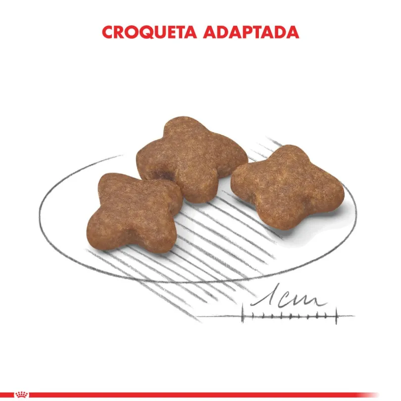 Royal Canin Mini Adulto 8+ 3kg