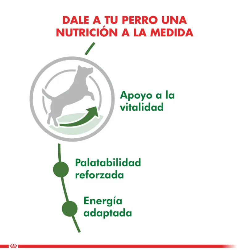 Royal Canin Mini Adulto 8+ 3kg