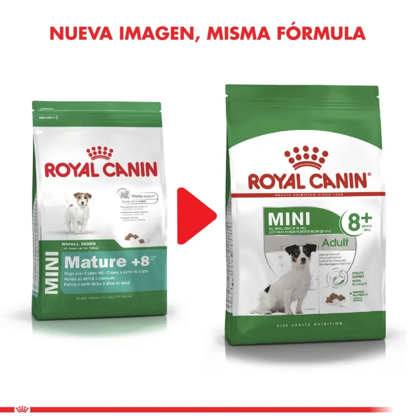 Royal Canin Mini Adulto 8+ 3kg