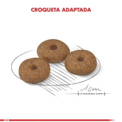 Royal Canin Mini Adulto 12+ 2.5kg