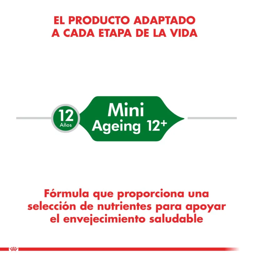 Royal Canin Mini Adulto 12+ 2.5kg