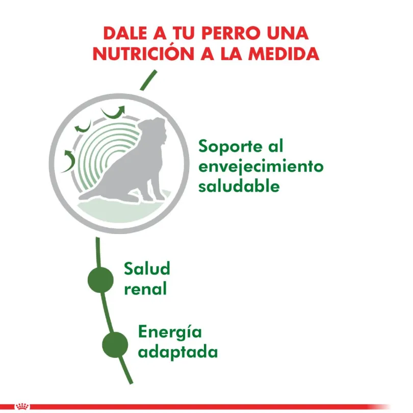 Royal Canin Mini Adulto 12+ 2.5kg