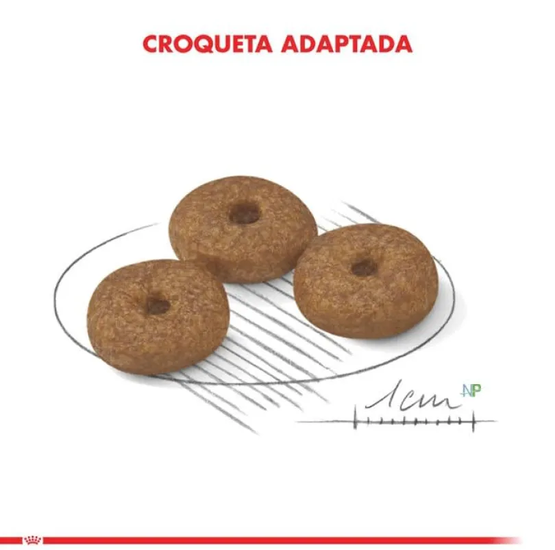 Royal Canin Mini Adulto 12+ 1kg