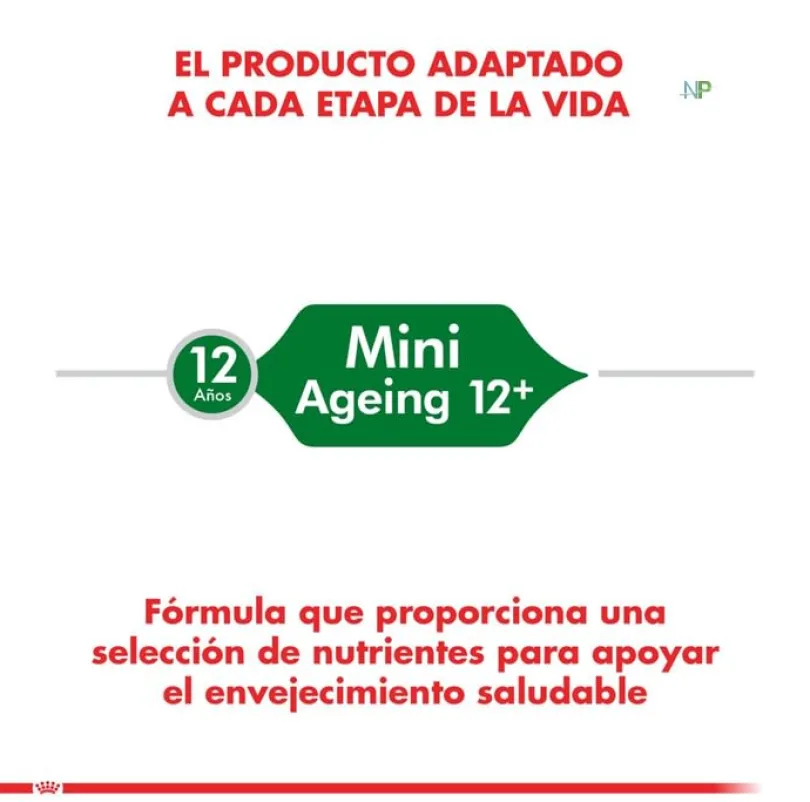 Royal Canin Mini Adulto 12+ 1kg