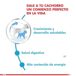 Royal Canin Mini Junior 8kg