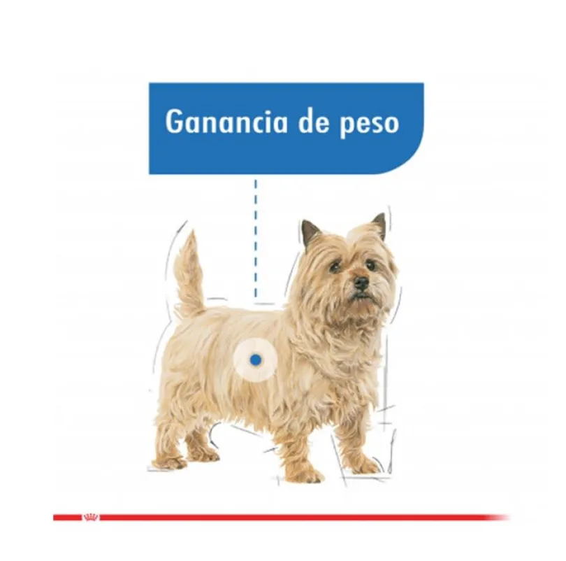 Royal Canin Mini Light 2.5kg