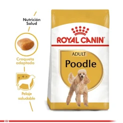 Royal Canin Poodle Adulto 3kg