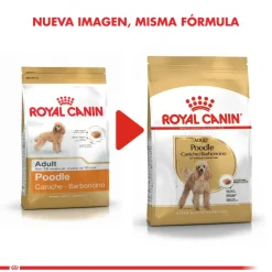 Royal Canin Poodle Adulto 3kg