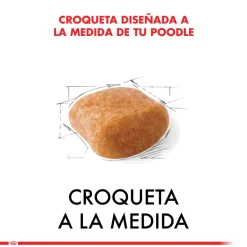Royal Canin Poodle Adulto 2.5kg