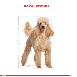 Royal Canin Poodle Adulto 2.5kg