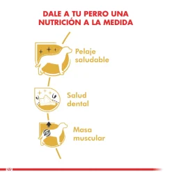 Royal Canin Poodle Adulto 2.5kg