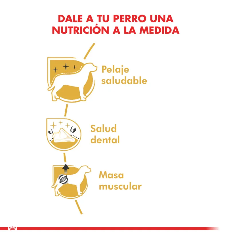 Royal Canin Poodle Adulto 2.5kg