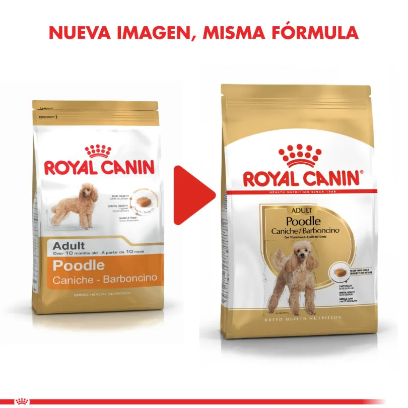 Royal Canin Poodle Adulto 2.5kg