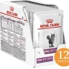 Royal Canin Pouch Vet Diet Felino Renal Pollo 85gr x 12 unidades