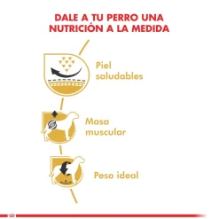 Royal Canin Pug Adulto 2.5kg