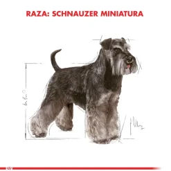 Royal Canin Schnauzer Adulto 2.5kg