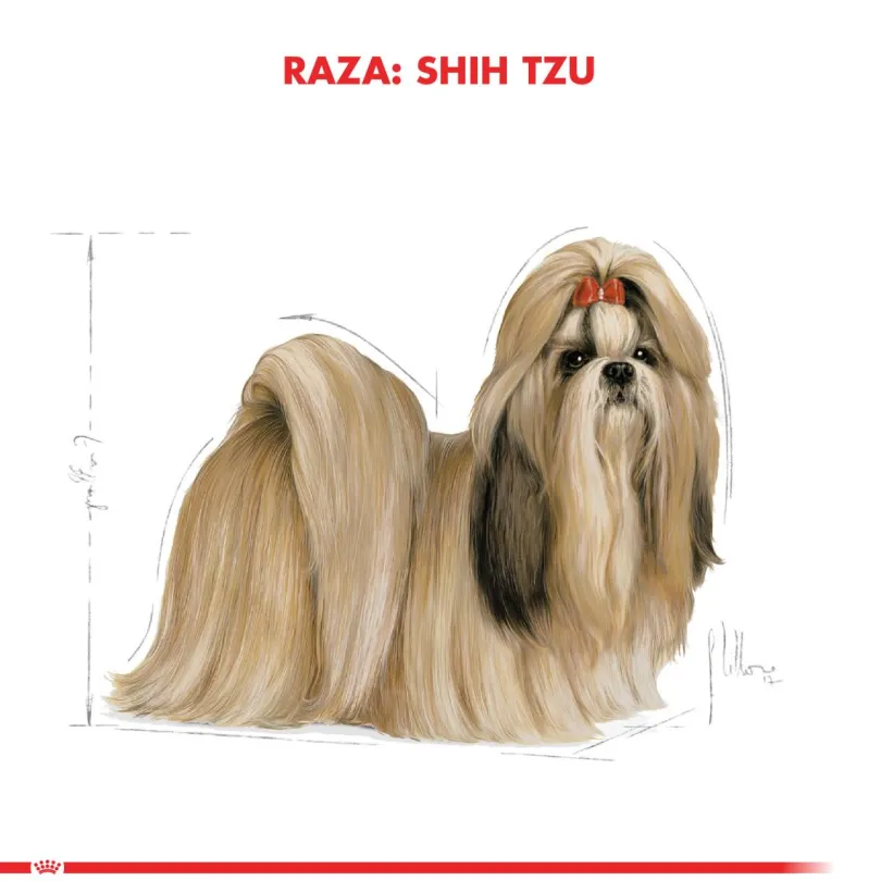 Royal Canin Shih Tzu Adulto 2.5kg