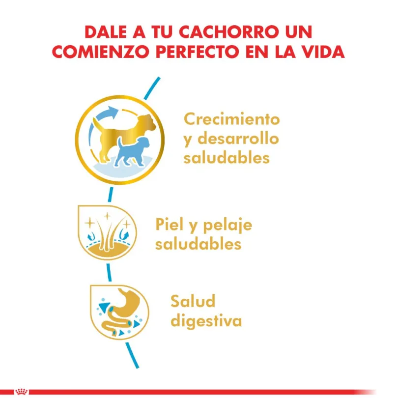 Royal Canin Shih Tzu Junior 2.5kg
