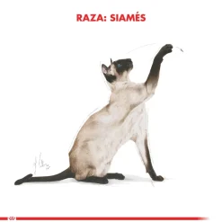 Royal Canin Siamese 1.5kg