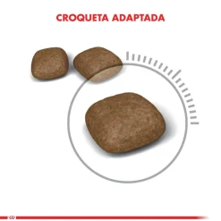 Royal Canin Urinary Care 1.5kg