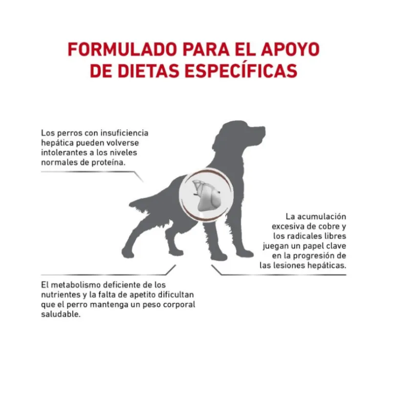 Royal Canin Vet Diet Dog Hepatic 10kg