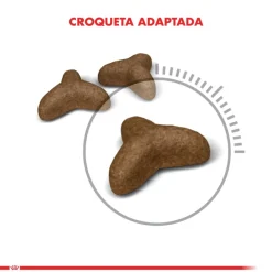 Royal Canin Weight (Light) 1.5kg